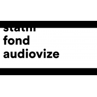 Státní fond audiovize